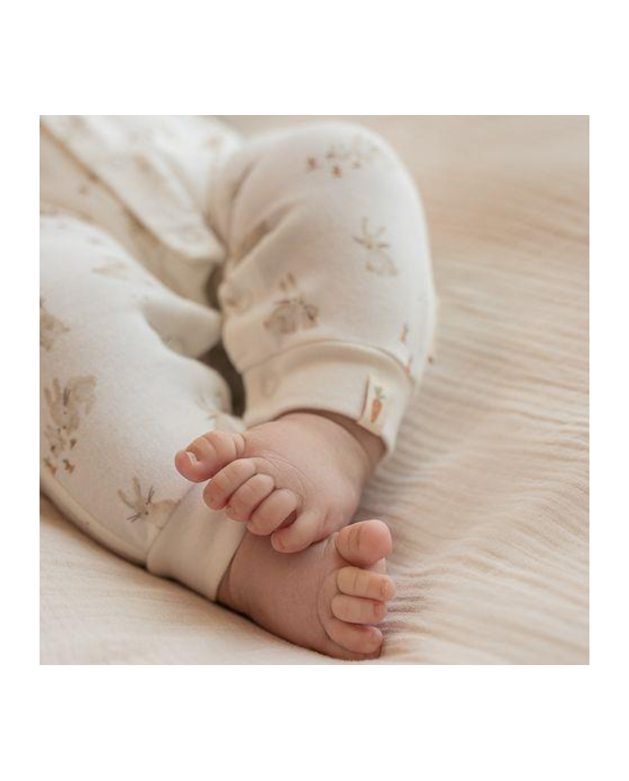 LITTLE DUTCH - Body manches longues - BABY BUNNY