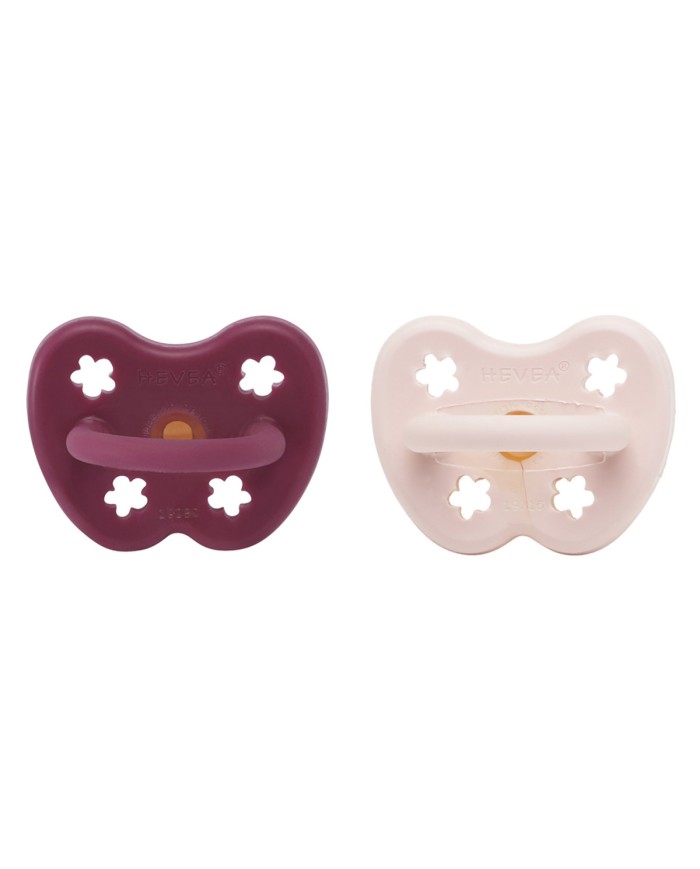 copy of Lolette orthodontic-naturel-3/36mois copy of Lolette orthodontic-naturel-3/36mois