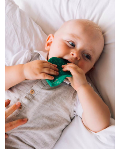 copy of KENDALL-hochet à machouiller Hévéa