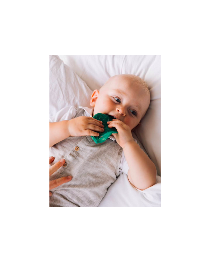 copy of KENDALL-hochet à machouiller Hévéa copy of KENDALL-hochet à machouiller Hévéa