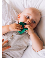 copy of KENDALL-hochet à machouiller Hévéa copy of KENDALL-hochet à machouiller Hévéa