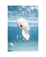 OLI&CAROL -  WALTER La baleine