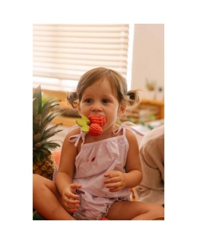 OLI&CAROL - VALERY the Raspberry