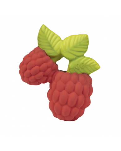 OLI&CAROL - VALERY the Raspberry