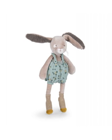 Lapin sauge Lapin sauge
