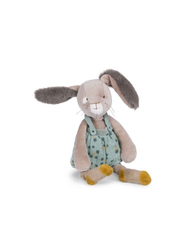 Lapin sauge Lapin sauge