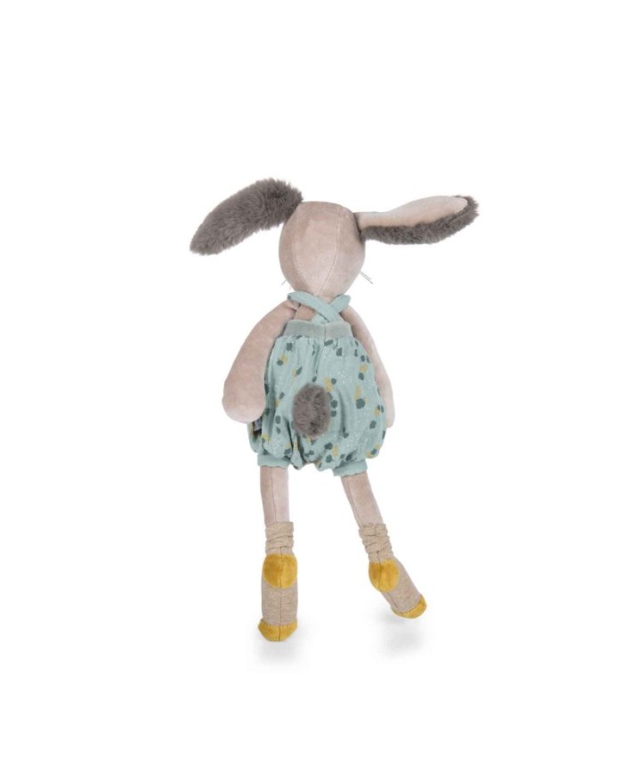 Lapin sauge Lapin sauge