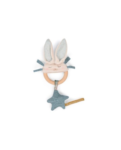 copy of Souris musicale