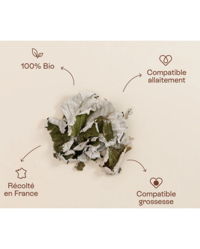 JOLLY MAMA - Tisane feuilles de framboisier