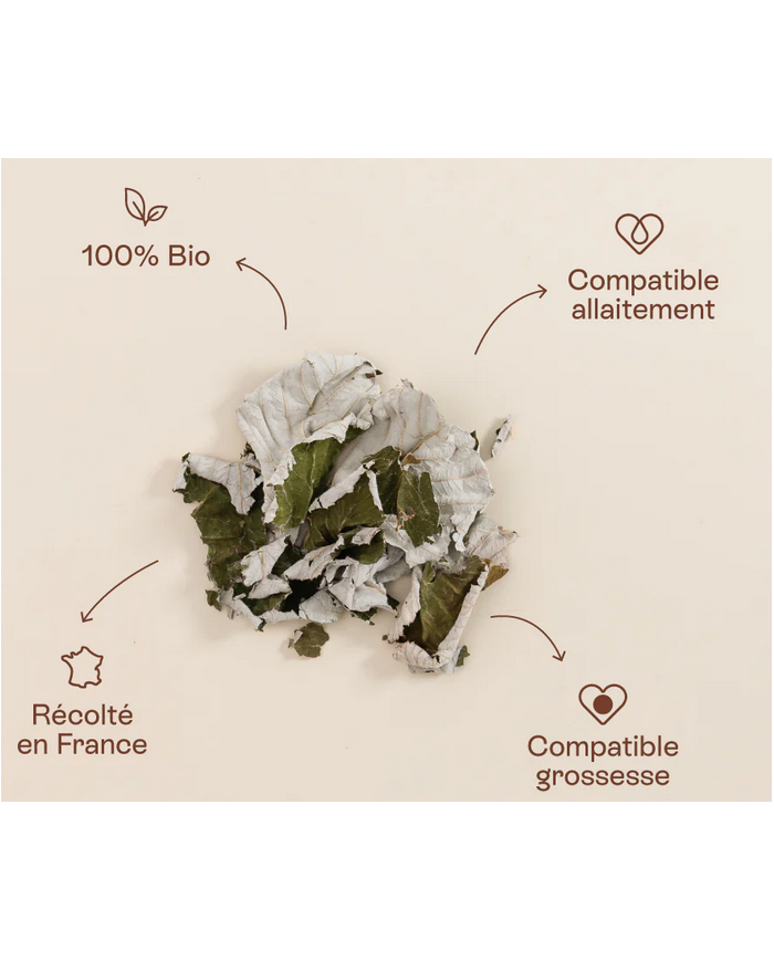 JOLLY MAMA - Tisane feuilles de framboisier