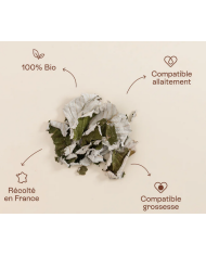 JOLLY MAMA - Tisane feuilles de framboisier