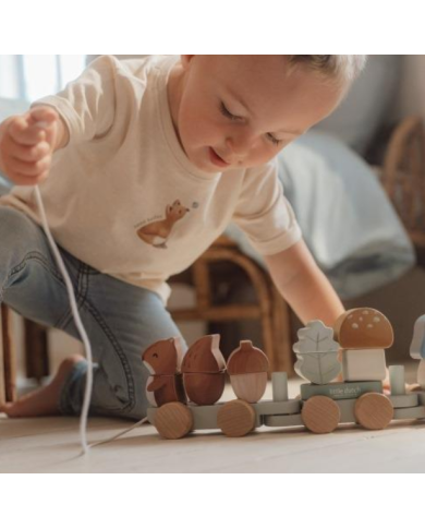 copy of LITTLE DUTCH-Train Fairy Garden