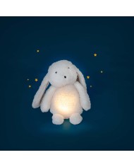 MOULIN ROTY - Lanterne magique - Puce et Pilou