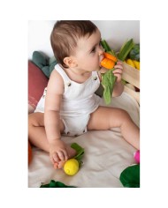 OLI&CAROL - CATHY La Carotte OLI&CAROL - CATHY La Carotte