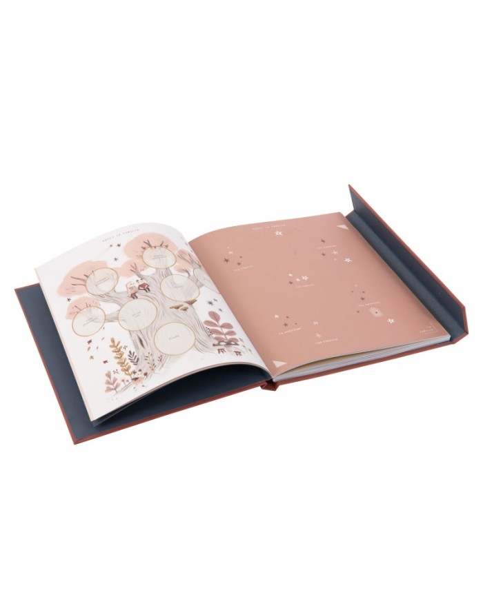 MOULIN ROTY - Livre de naissance - Après la pluie