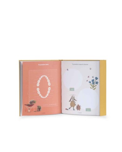 MOULIN ROTY - Livre de naissance - Trois petits lapins