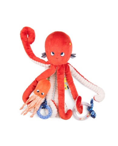 copy of Hippocampe d'activités