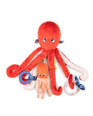 copy of Hippocampe d'activités