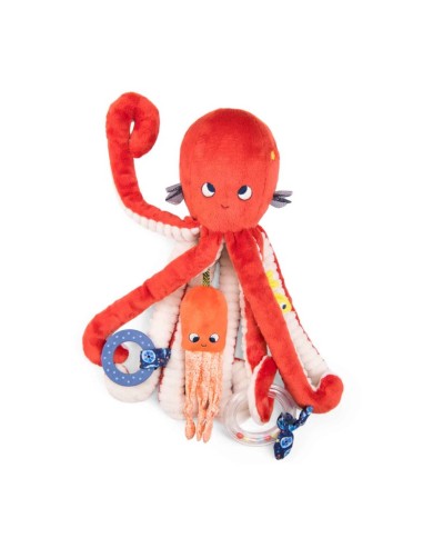 copy of Hippocampe d'activités