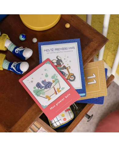 MOULIN ROTY - Cartes "Mes 12 premiers mois" - Puce et Pilou