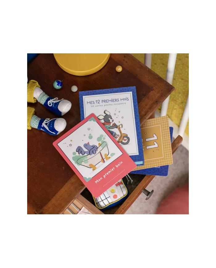 MOULIN ROTY - Cartes "Mes 12 premiers mois" - Puce et Pilou MOULIN ROTY - Cartes "Mes 12 premiers mois" - Puce et Pilou