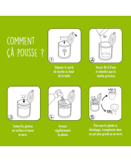 MAUVAISES GRAINES - Kit à semer - Message au choix MAUVAISES GRAINES - Kit à semer - Message au choix