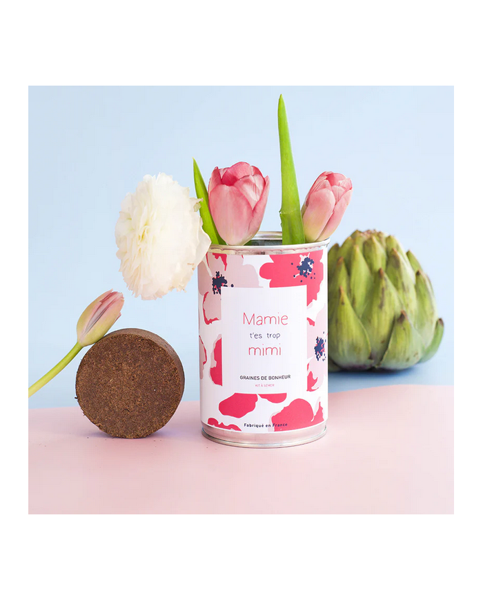 MAUVAISES GRAINES - Kit à semer - Message au choix MAUVAISES GRAINES - Kit à semer - Message au choix