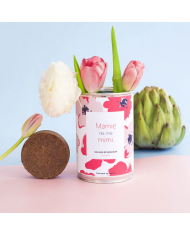 MAUVAISES GRAINES - Kit à semer - Message au choix MAUVAISES GRAINES - Kit à semer - Message au choix