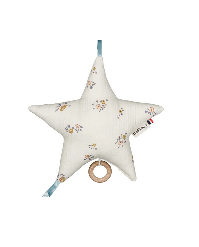 MELLIPOU - Boîte à musique - Berceuse HARRY POTTER