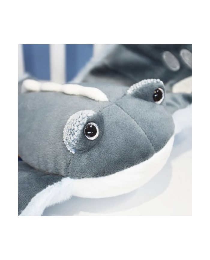 HISTOIRE D'OURS - Raie Manta - 50cm