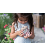 LITTLE DUTCH - Boîte à insectes