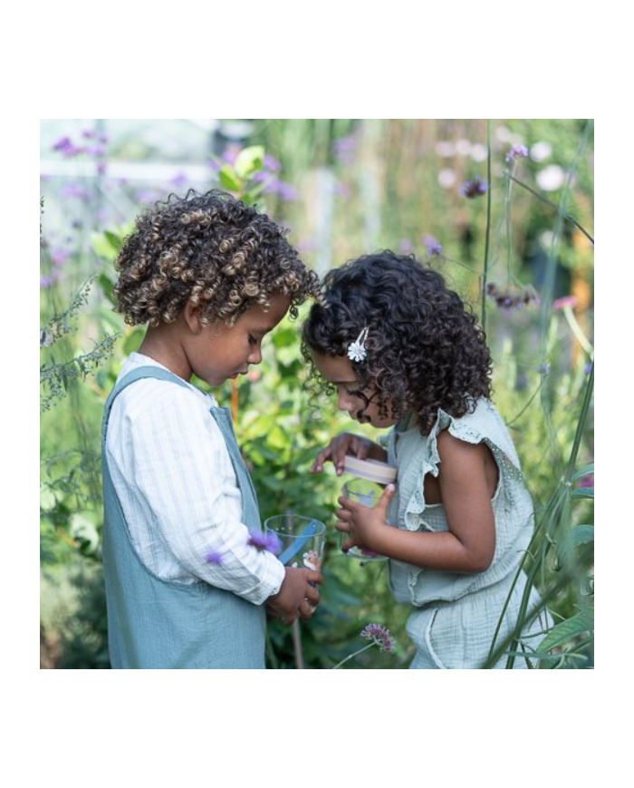 LITTLE DUTCH - Boîte à insectes