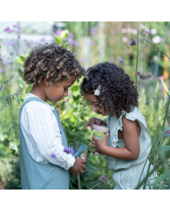 LITTLE DUTCH - Boîte à insectes