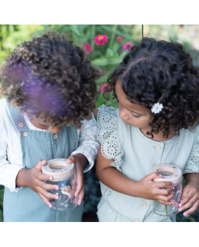 LITTLE DUTCH - Boîte à insectes