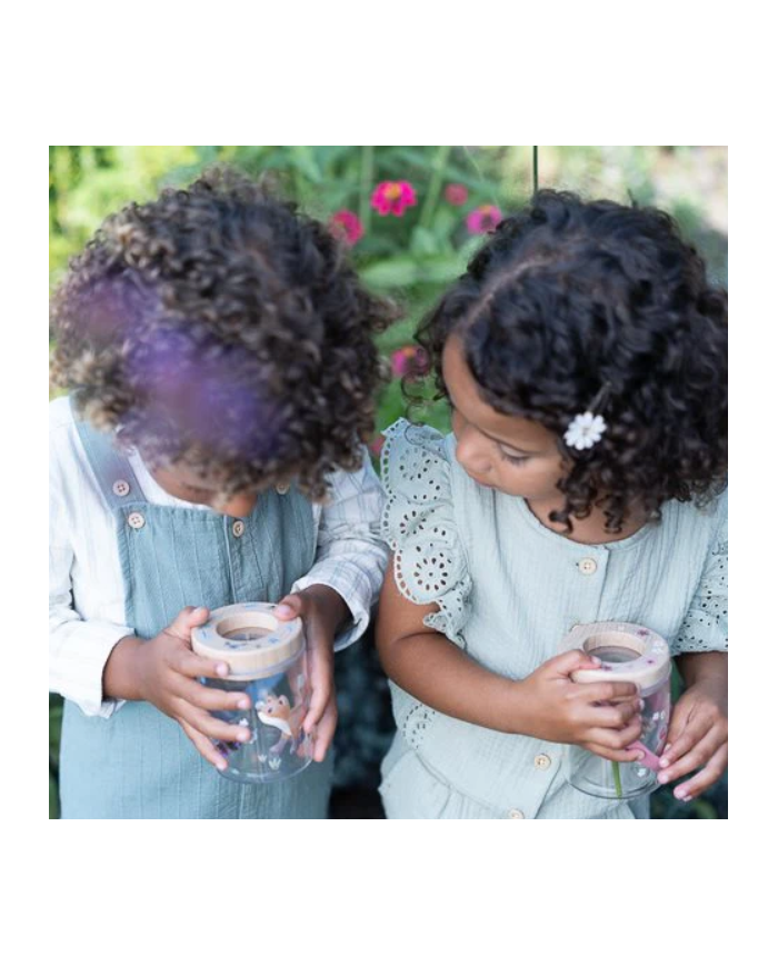 LITTLE DUTCH - Boîte à insectes