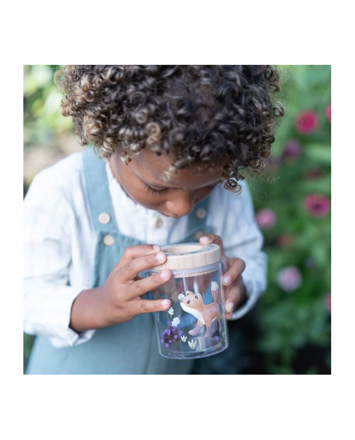 LITTLE DUTCH - Boîte à insectes