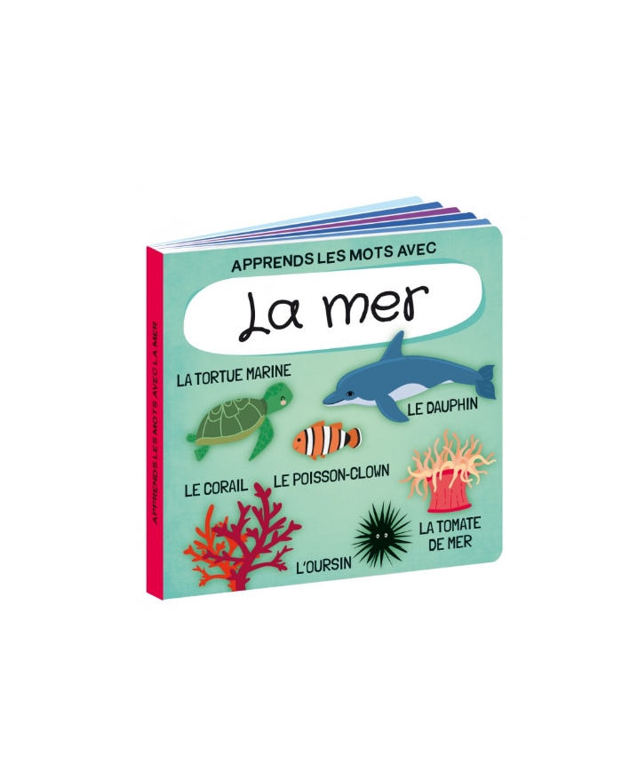 SASSI - Coffret puzzle la mer SASSI - Coffret puzzle la mer