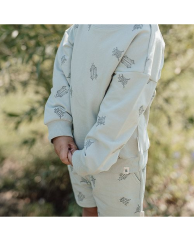 LITTLE DUTCH - Short - Petits insectes