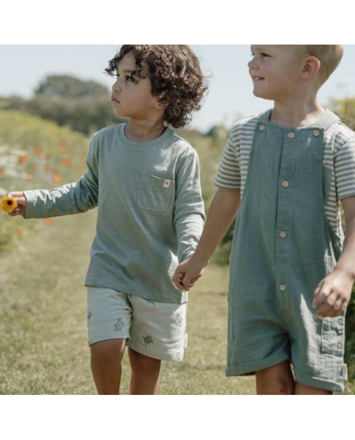LITTLE DUTCH - Short - Petits insectes
