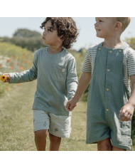 LITTLE DUTCH - Short - Petits insectes