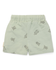 LITTLE DUTCH - Short - Petits insectes