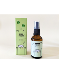 PAMELA LOOPS - Brume Bododo nuits paisibles