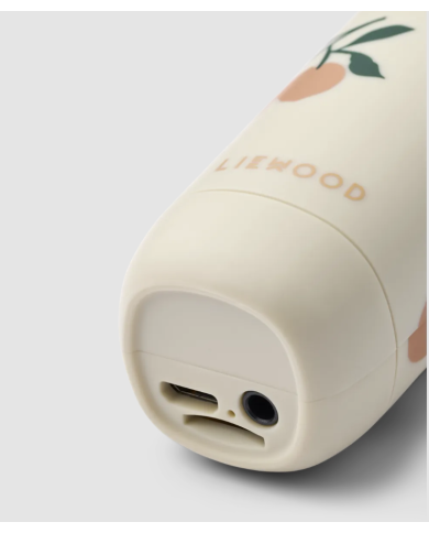 LIEWOOD - Micro Karaoké sans fil - Beinta