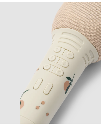 LIEWOOD - Micro Karaoké sans fil - Beinta