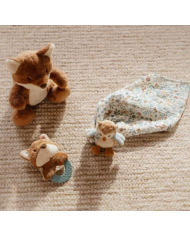 LITTLE DUTCH - Coffret cadeau de naissance - Forest friends