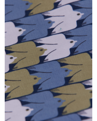 ARSENE ET LES PIPELETTES - Jupe - Oiseaux