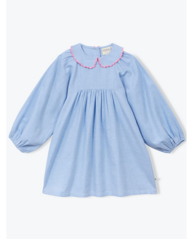 ARSENE ET LES PIPELETTES - Robe - Oxford