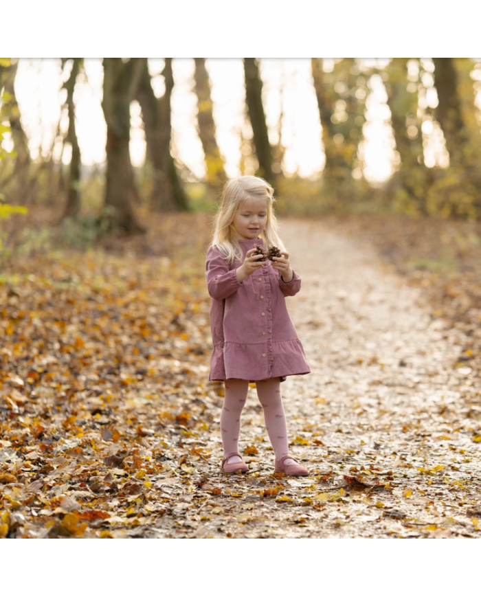 copy of LITTLE DUTCH-Train Fairy Garden