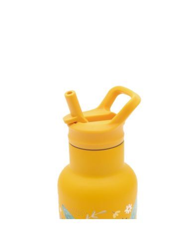 SASSI - Gourde en inox - Chompy le lion