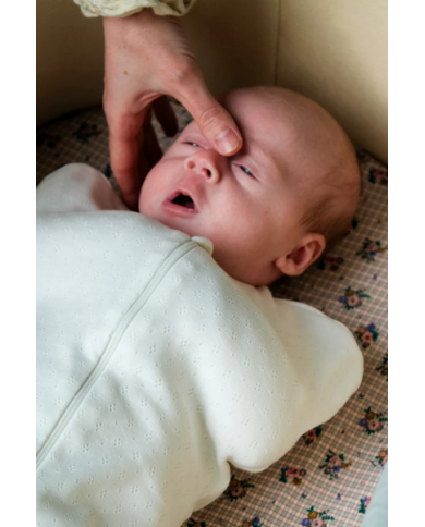 TANTE REINE - Emmailloteuse physiologique